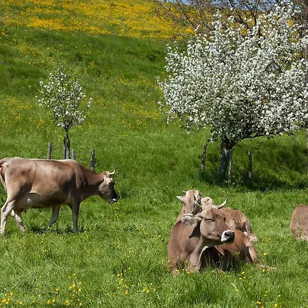 Roessle Pensjonat Rieden am Forggensee