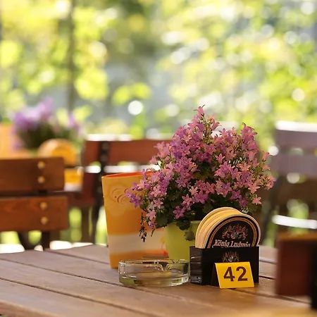 Guest house Roessle